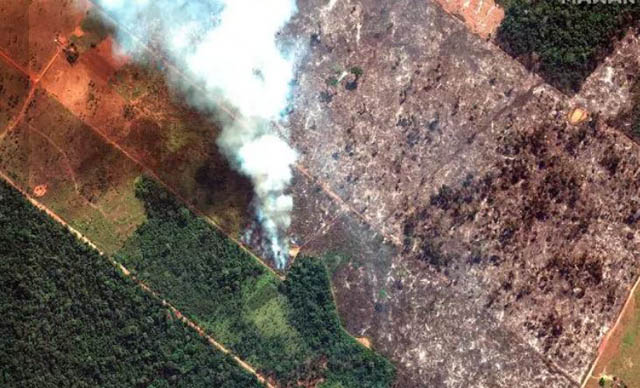 Brasile Amazzonia Incendi2