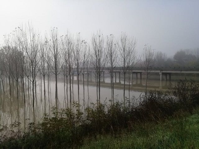 Borgoforte FiumePo Ponte1