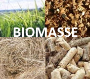 Biomassa3