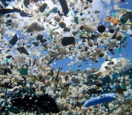 Inquinamento Plastica Acqua2