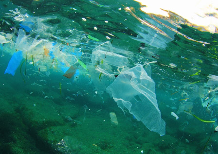 Inquinamento Plastica Mare3