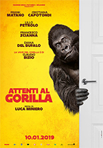 film AttentiAlGorilla1