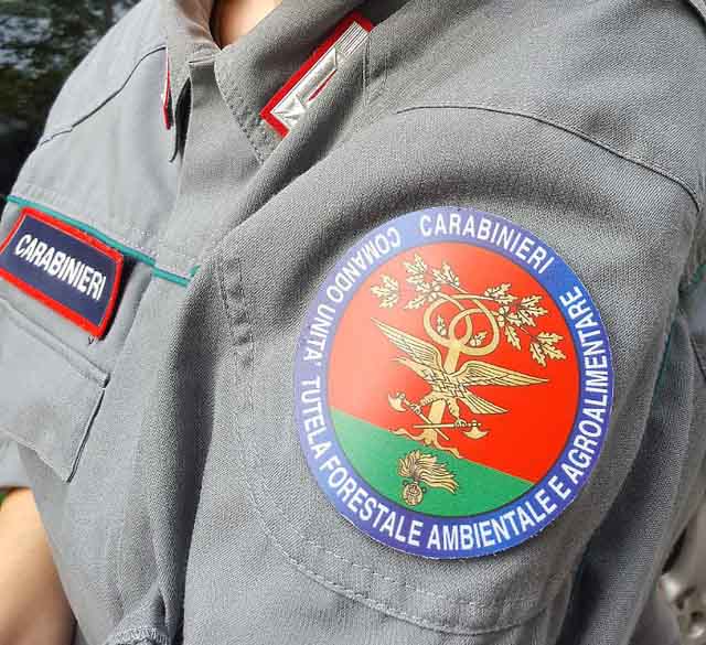Carabinieri-Forestale1