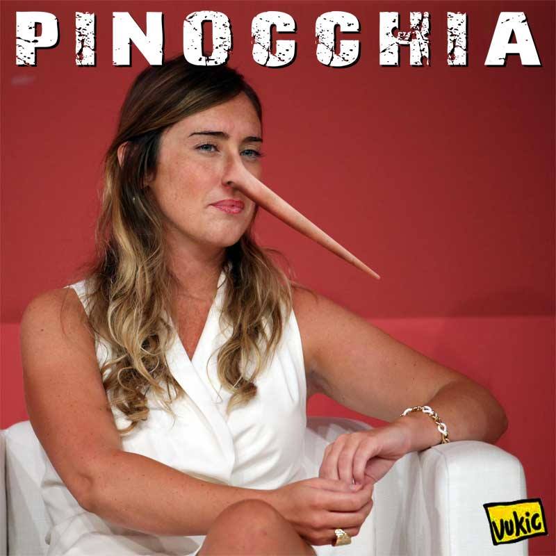 satira vukic1063 Pinocchia