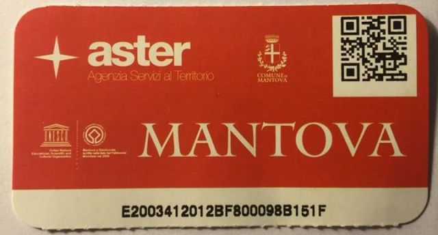 Mantova Aster Pass2016