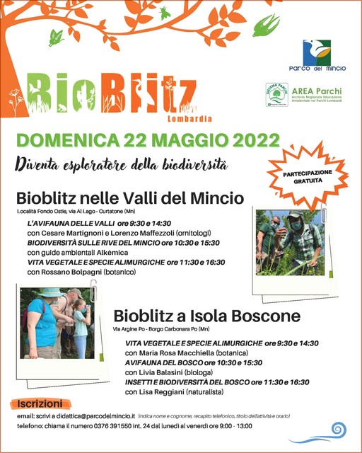 Mantova ParcoDelMincio Bioblitz-Locandina