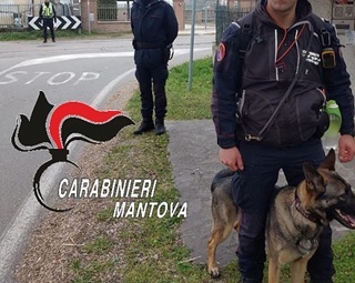 Pegognaga Carabinieri BocconiAvvelenati