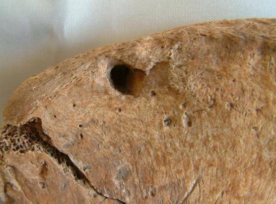 GranBretagna GladiatoreDiYork Resti1