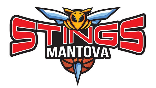 Stings Logo2022