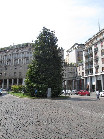 Mantova PiazzaCavallotti2