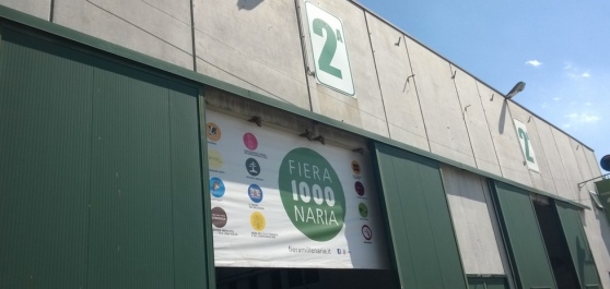 Gonzaga FieraMillenaria3