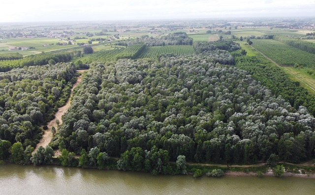 Suzzara ParcoSanColombano Vista1