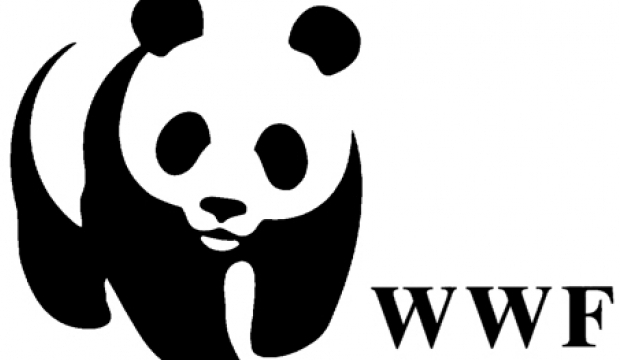 WWF Logo2