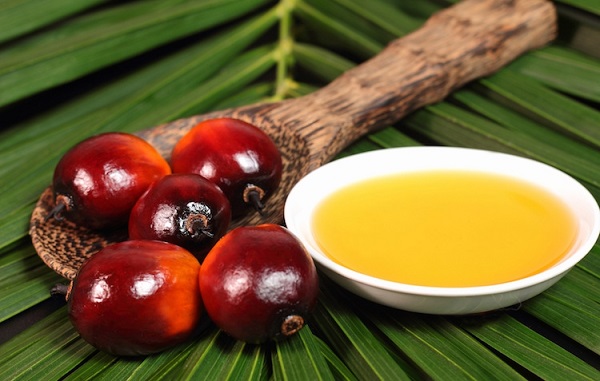 Olio DiPalma1