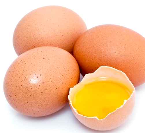 Uova Gallina2