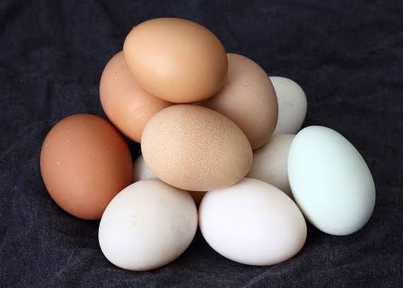 Uovo Gallina2