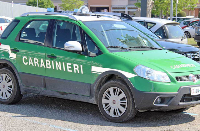Carabinieri-Forestale Auto5