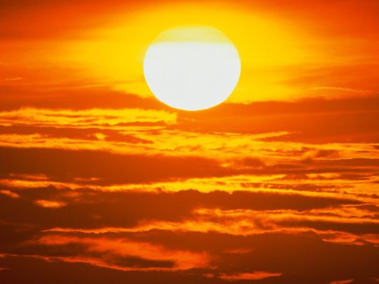 Sole9