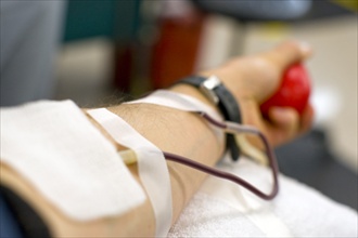 Sangue Donazione2