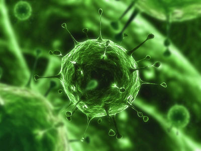 Virus2