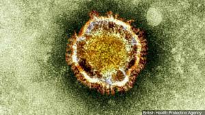 Virus Covid-19 3