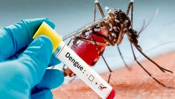 Virus Dengue Ricerca1