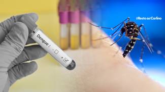 Virus Dengue Ricerca2
