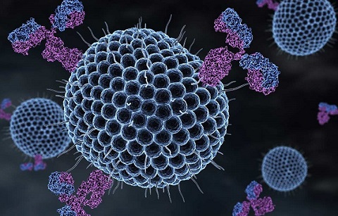 Virus HerpesZoster2