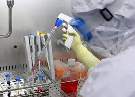 Virus Ricerca3