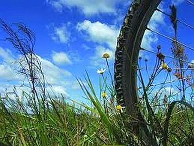 Bicicletta5