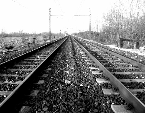 Treni Binari3