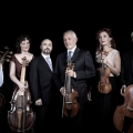 Tempo d’Orchestra. L’Arte della Fuga di Bach secondo l’Accademia Strumentale Italiana al Teatro Bibi... Tempo d’Orchestra. L’Arte della Fuga di Bach secondo l’Accademia Strumentale Italiana al Teatro Bibi...