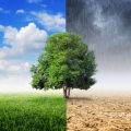 Riscaldamento globale, entro il 2100 il 22% della popolazione mondiale fuori dalla comfort zone clim... Riscaldamento globale, entro il 2100 il 22% della popolazione mondiale fuori dalla comfort zone clim...