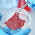 Carne sintetica, solo 1 italiano su 4 disposto a mangiarla Carne sintetica, solo 1 italiano su 4 disposto a mangiarla