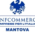Venerandi confermata alla guida di Silb Confcommercio Mantova, la sigla dei locali da ballo
