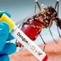 Dengue, con il caldo casi in aumento fino a novembre
