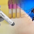 Virus Dengue, Burioni: 'Unico modo per stare tranquilli è non avere zanzare tigre'